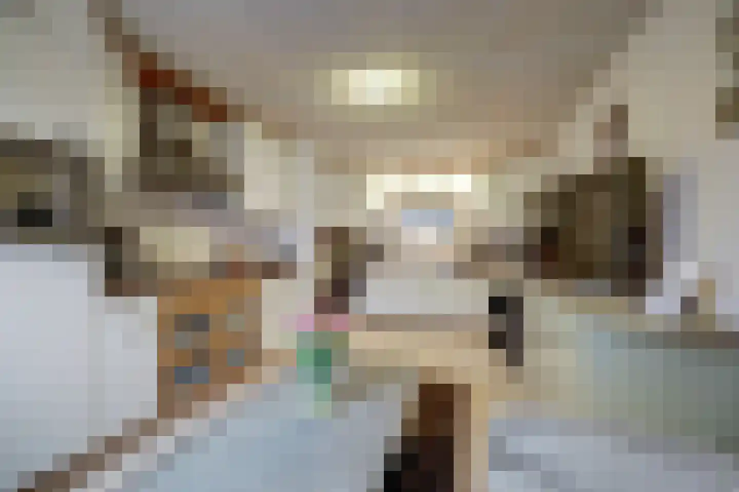 Kerkstraat 24 Vollenhove thumbnail 39