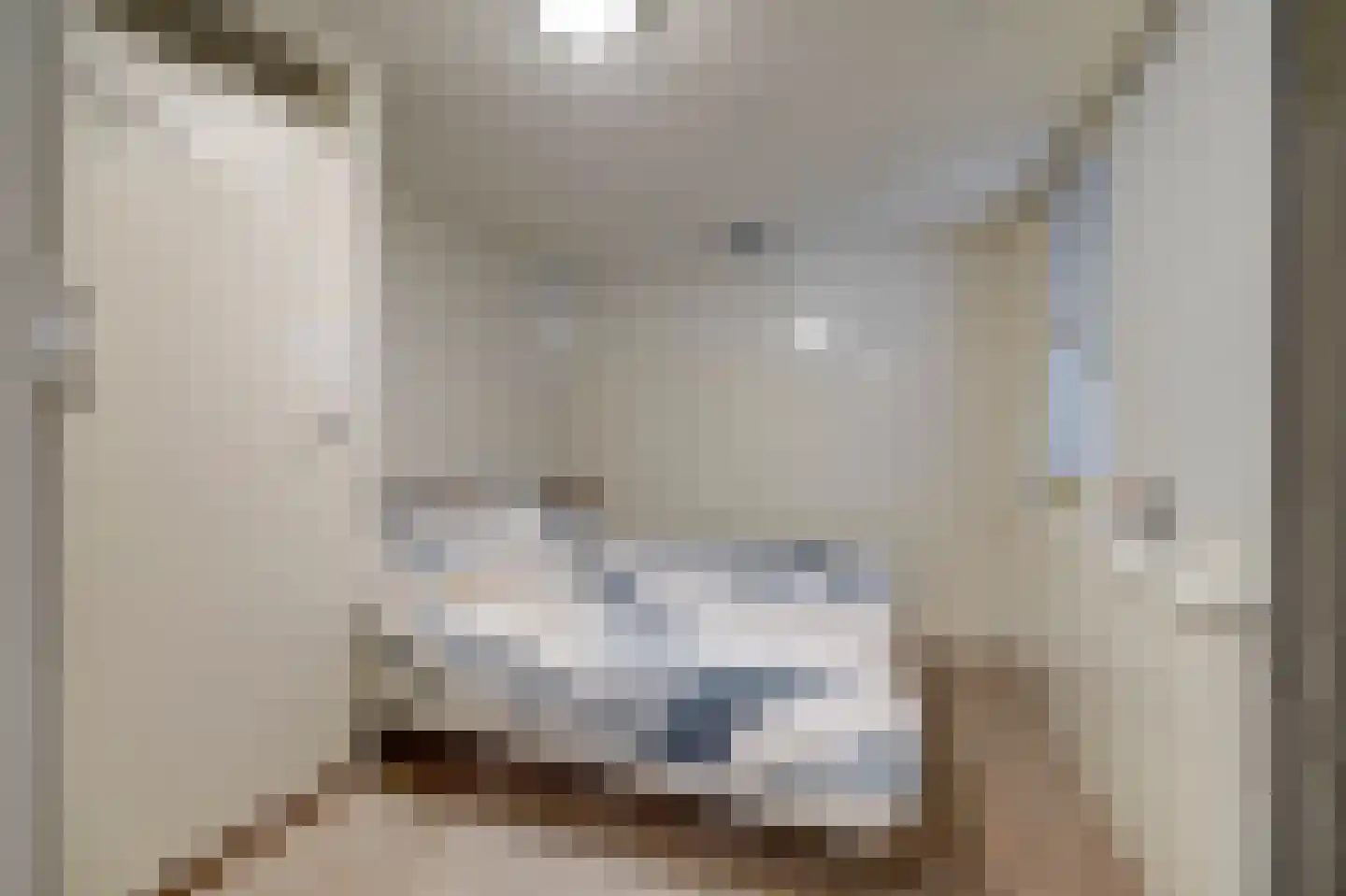 Kerkstraat 24 Vollenhove thumbnail 46