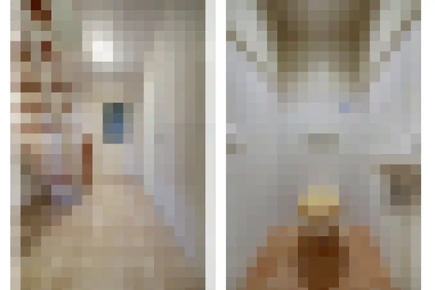 Kerkstraat 24 Vollenhove thumbnail 6