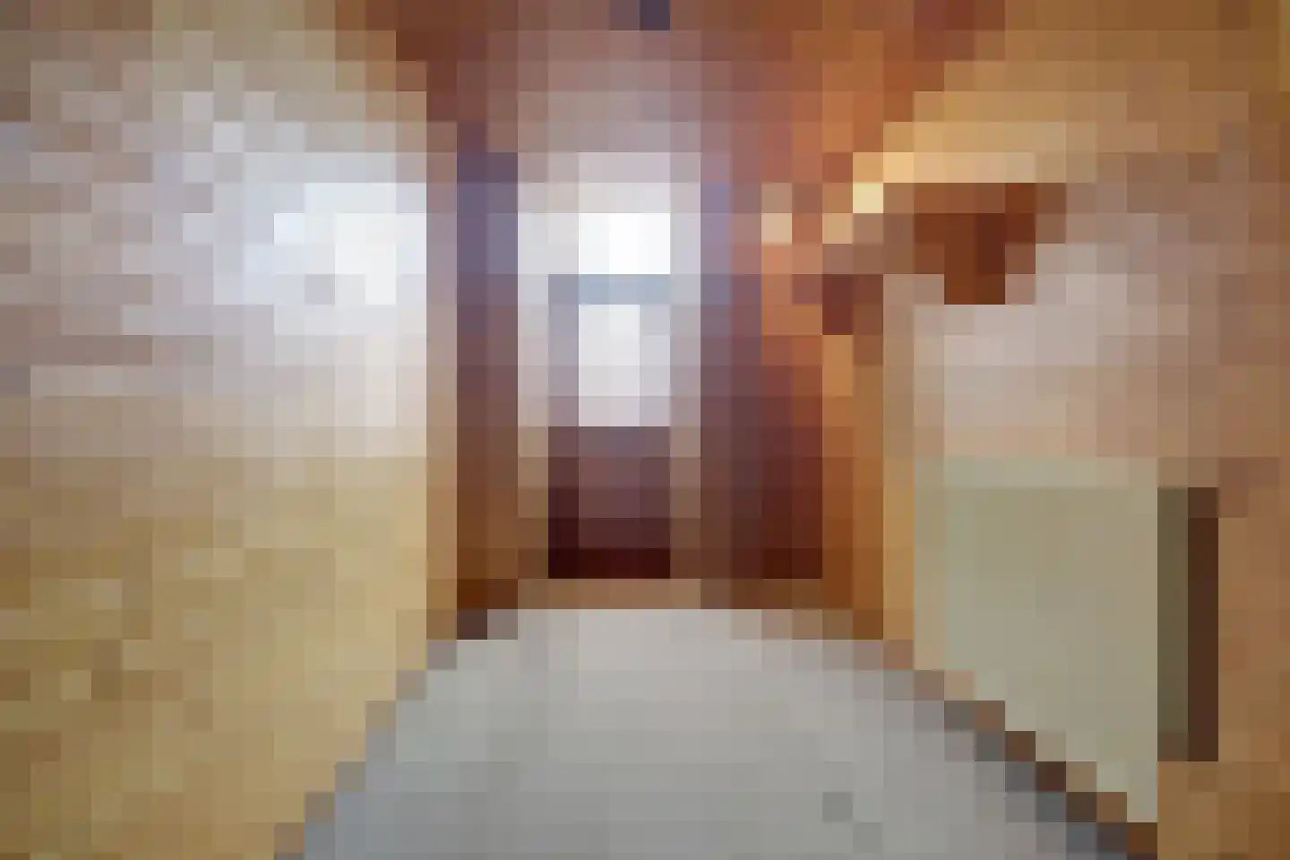 Kerkstraat 24 Vollenhove thumbnail 7