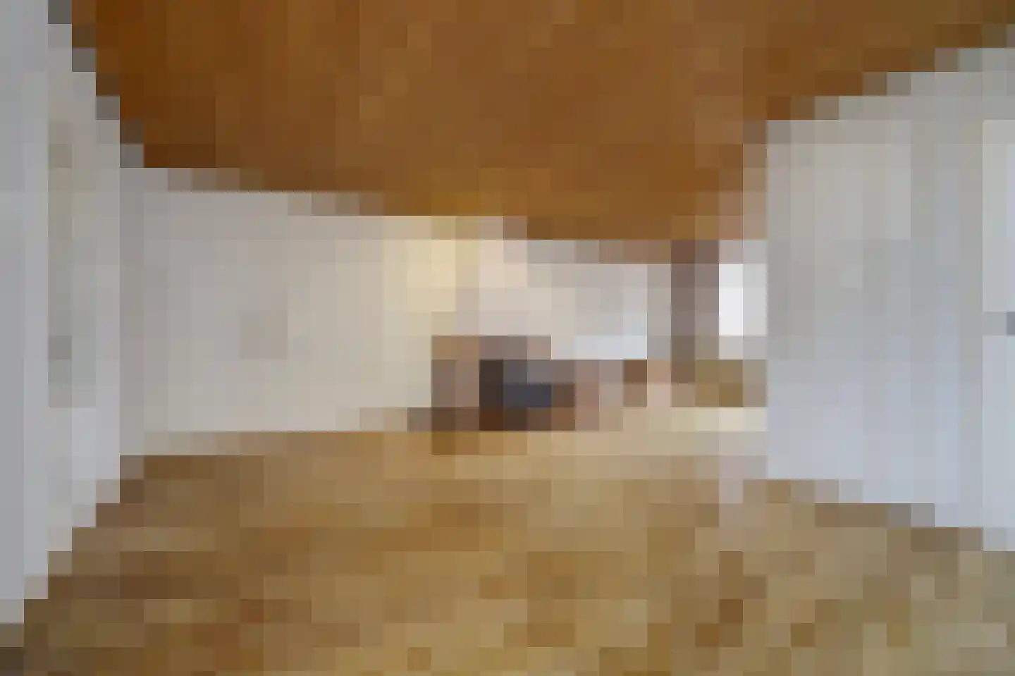 Kerkstraat 24 Vollenhove thumbnail 9