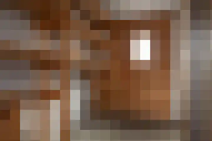 Kerkstraat 24 Voorthuizen thumbnail 33