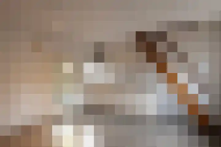 Kerkstraat 24 Voorthuizen thumbnail 35