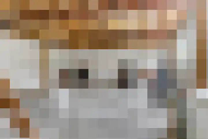 Kerkstraat 24 Zetten thumbnail 21