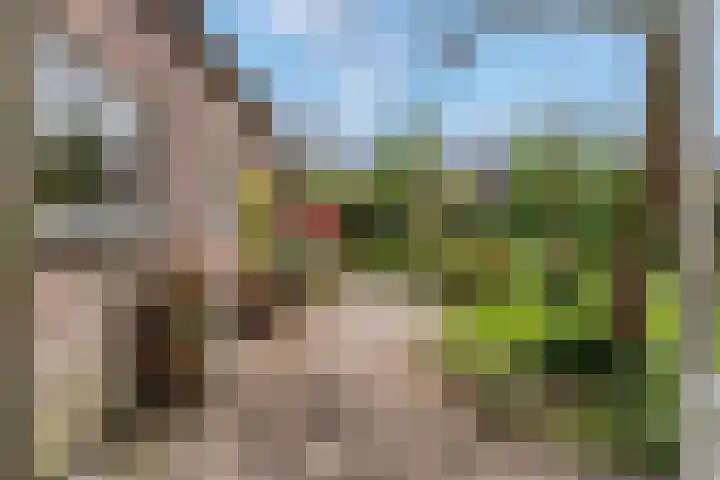 Kerkstraat 24 Zetten thumbnail 38