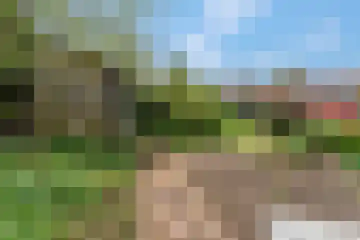 Kerkstraat 24 Zetten thumbnail 39