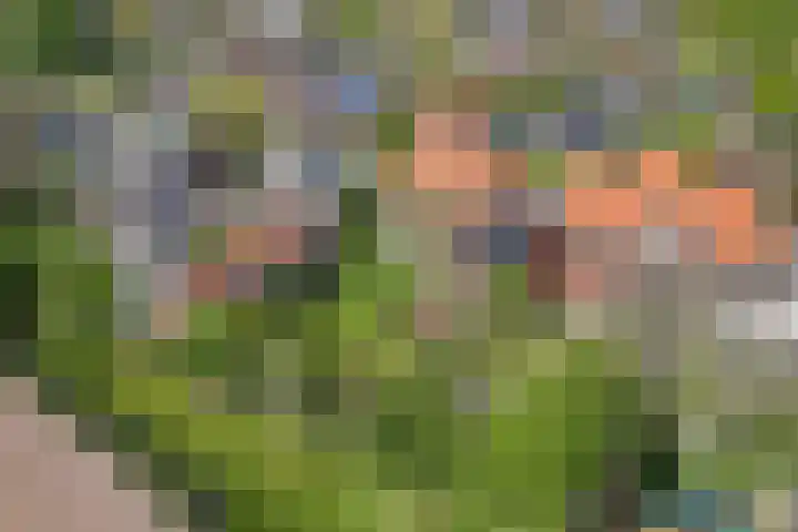 Kerkstraat 24 Zetten thumbnail 4