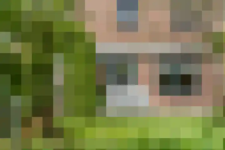 Kerkstraat 24 Zetten thumbnail 40