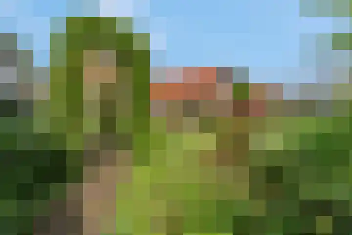 Kerkstraat 24 Zetten thumbnail 41