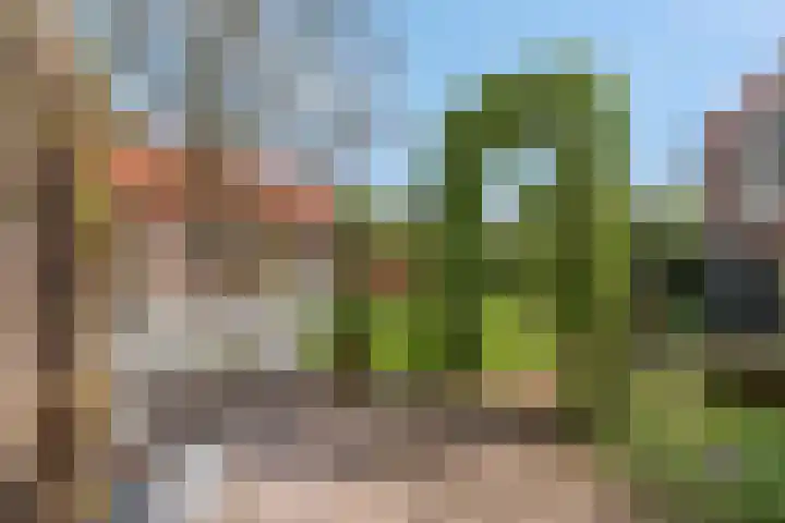 Kerkstraat 24 Zetten thumbnail 42