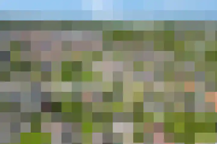 Kerkstraat 24 Zetten thumbnail 43