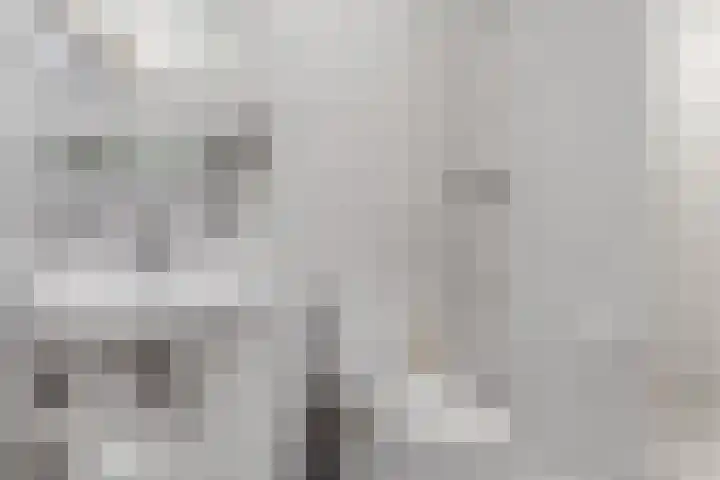 Kerkstraat 24 Zetten thumbnail 46