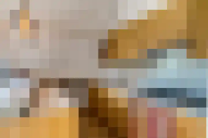 Kerkstraat 24 Zetten thumbnail 48