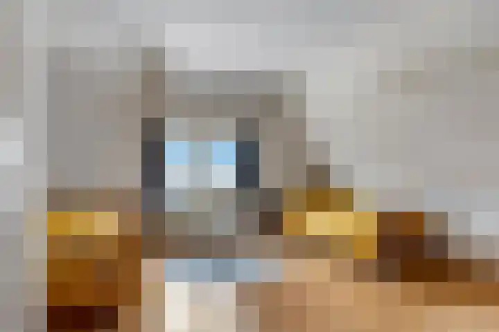 Kerkstraat 24 Zetten thumbnail 51