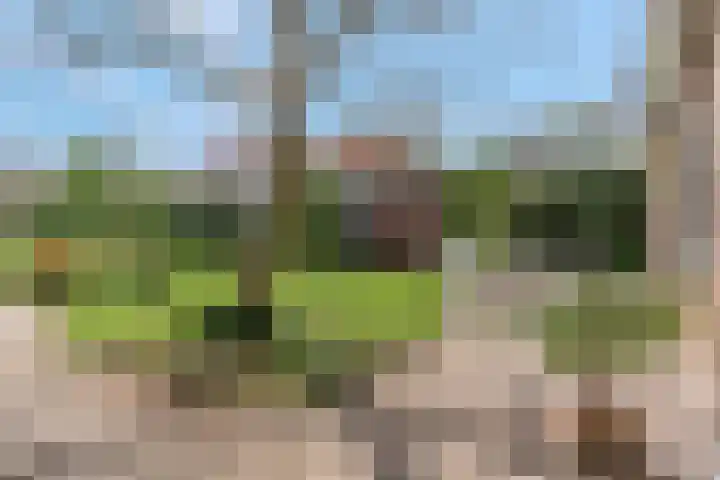 Kerkstraat 24 Zetten thumbnail 53