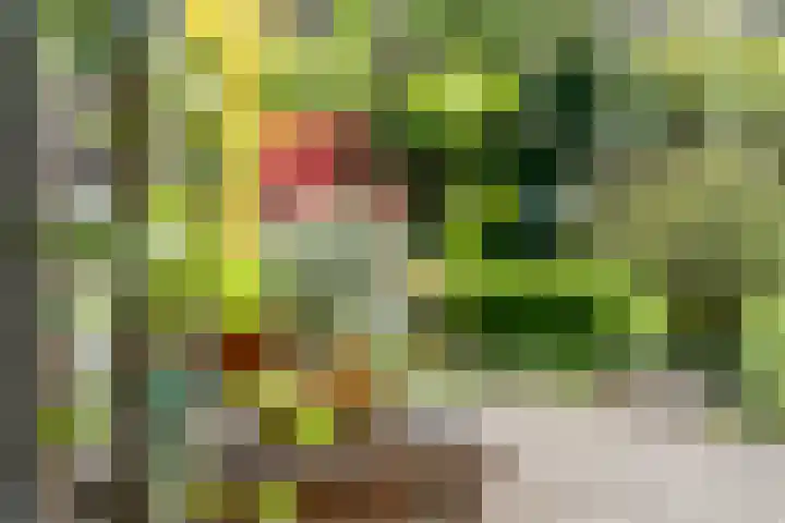 Kerkstraat 24 Zetten thumbnail 54