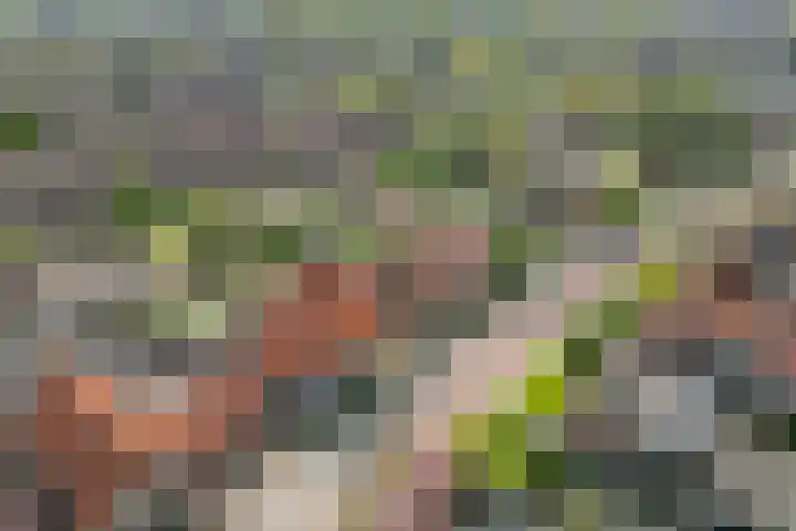 Kerkstraat 24 Zetten thumbnail 55