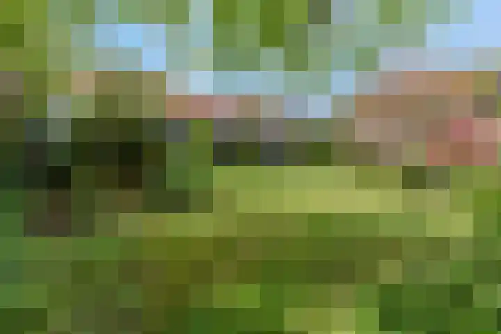 Kerkstraat 24 Zetten thumbnail 56
