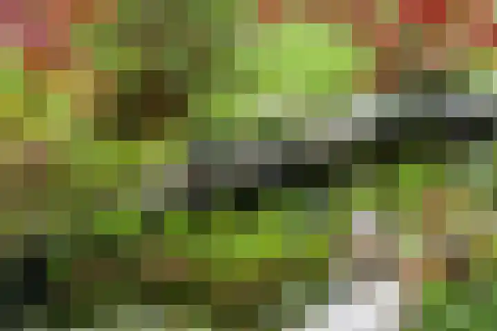 Kerkstraat 24 Zetten thumbnail 57
