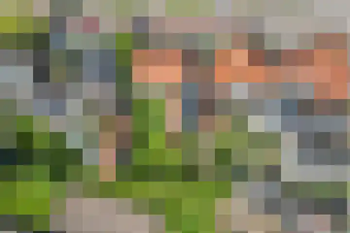 Kerkstraat 24 Zetten thumbnail 58