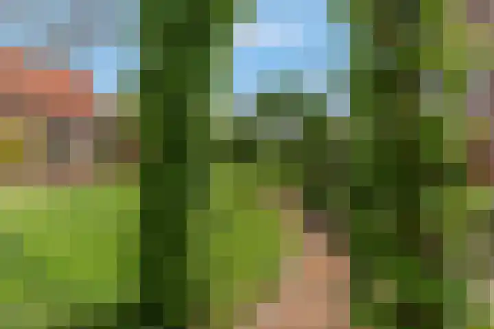 Kerkstraat 24 Zetten thumbnail 59