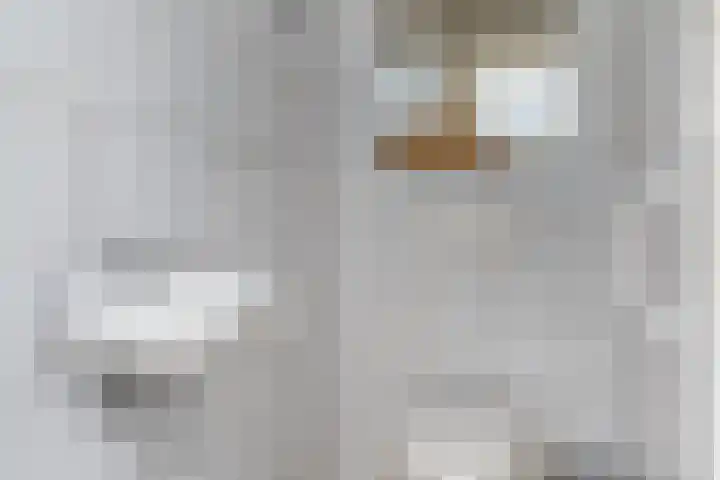 Kerkstraat 24 Zetten thumbnail 7
