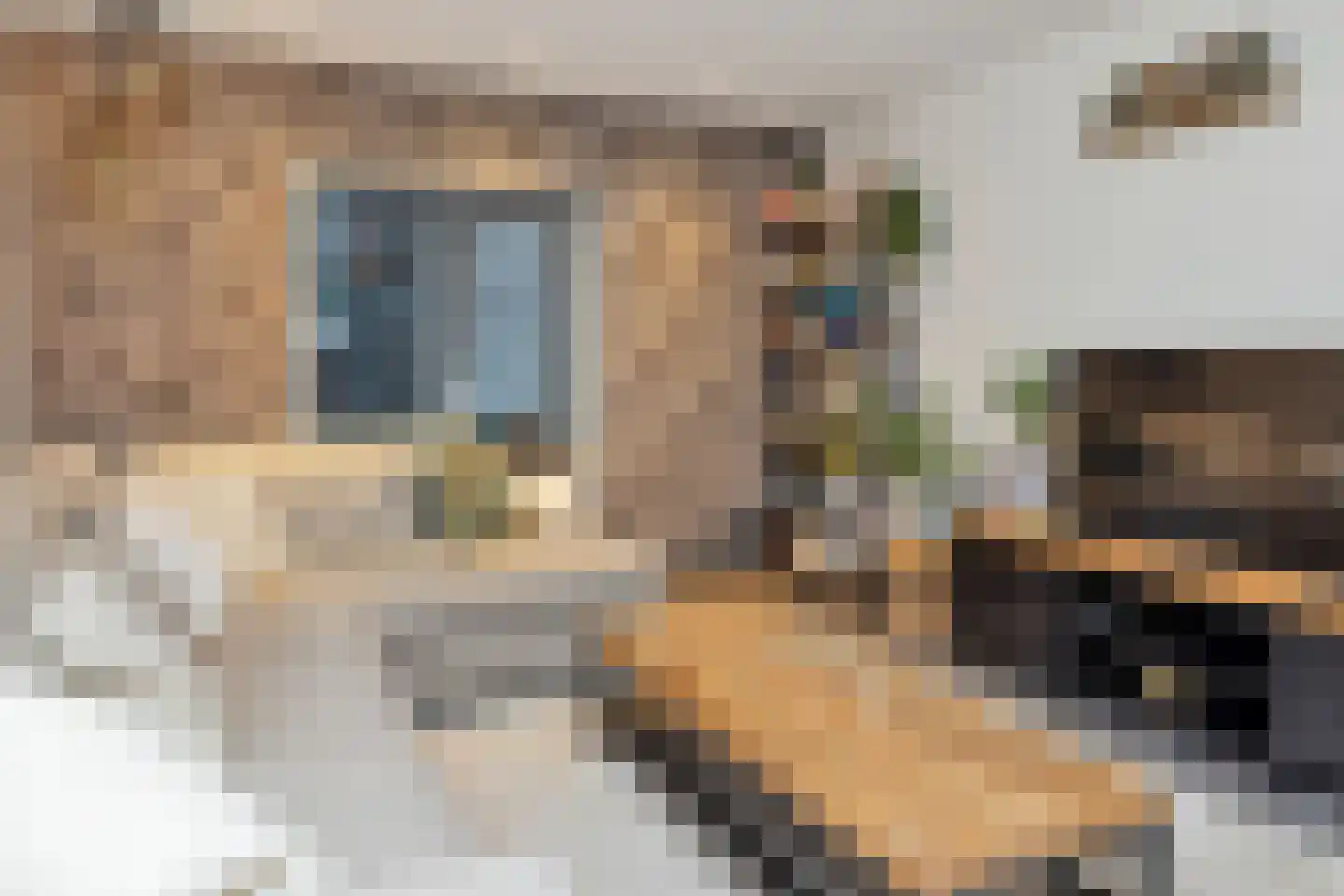Kerkstraat 25 A Coevorden thumbnail 13