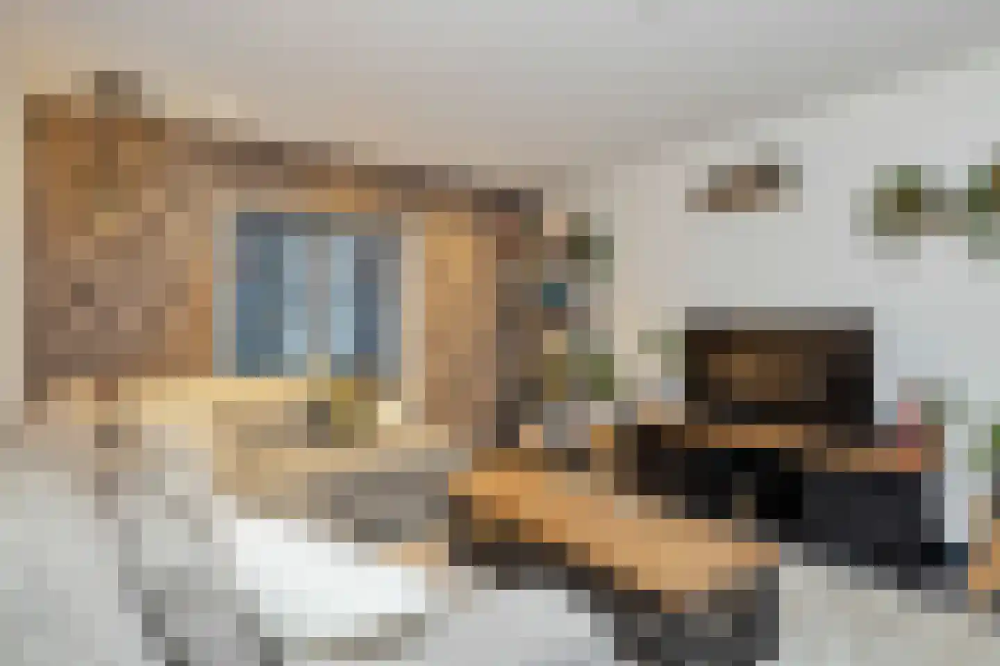 Kerkstraat 25 A Coevorden thumbnail 18