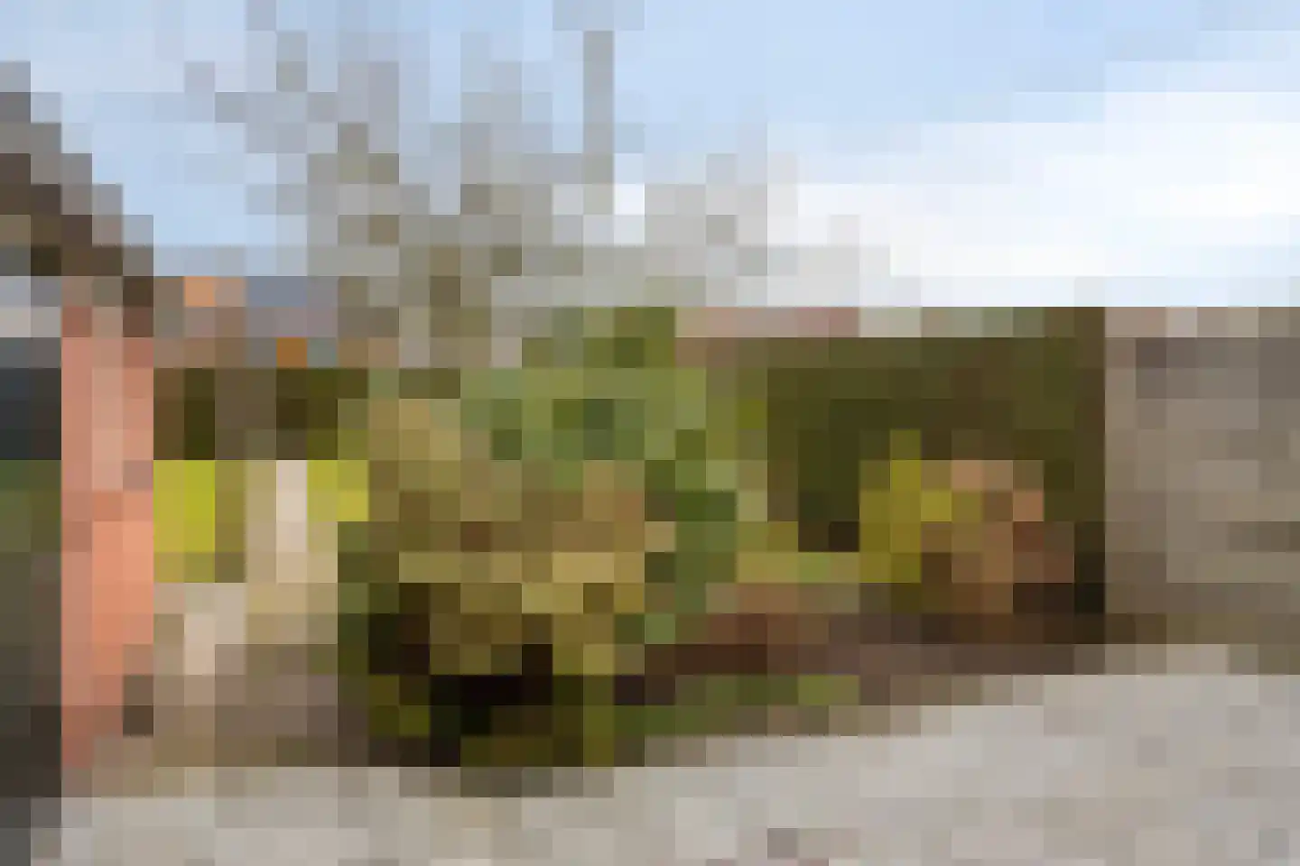 Kerkstraat 25 Clinge thumbnail 28