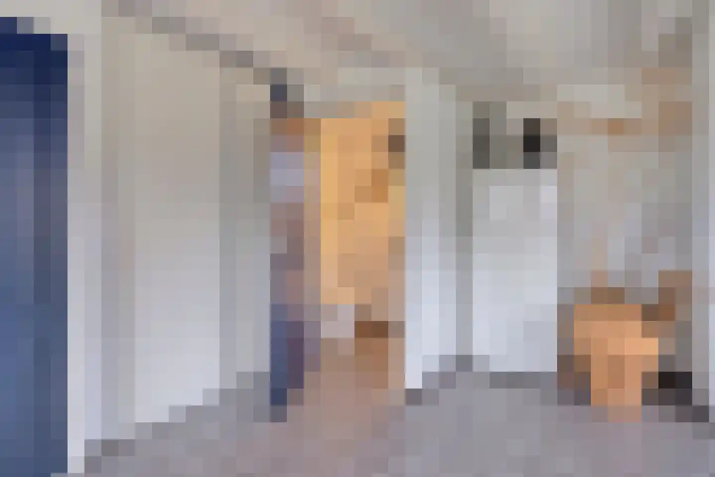 Kerkstraat 25 Landhorst thumbnail 22