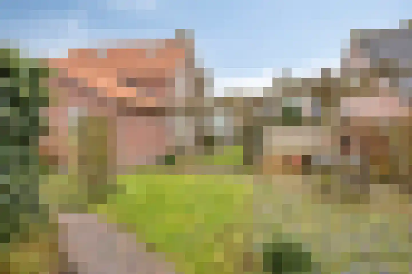 Kerkstraat 25 Landhorst thumbnail 32