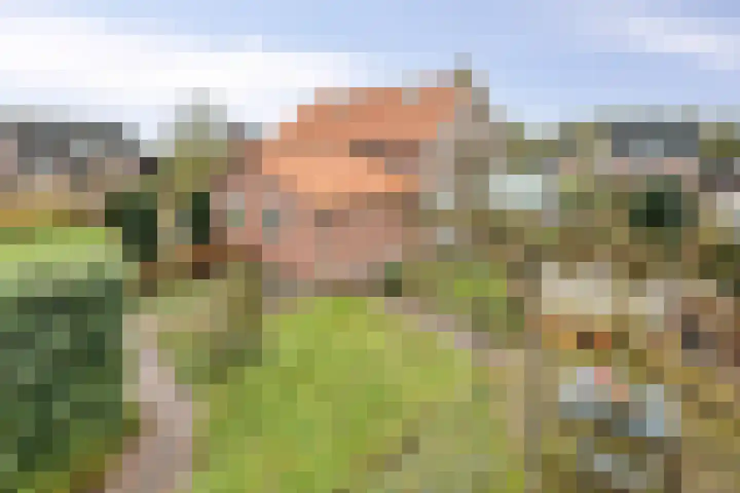 Kerkstraat 25 Landhorst thumbnail 39