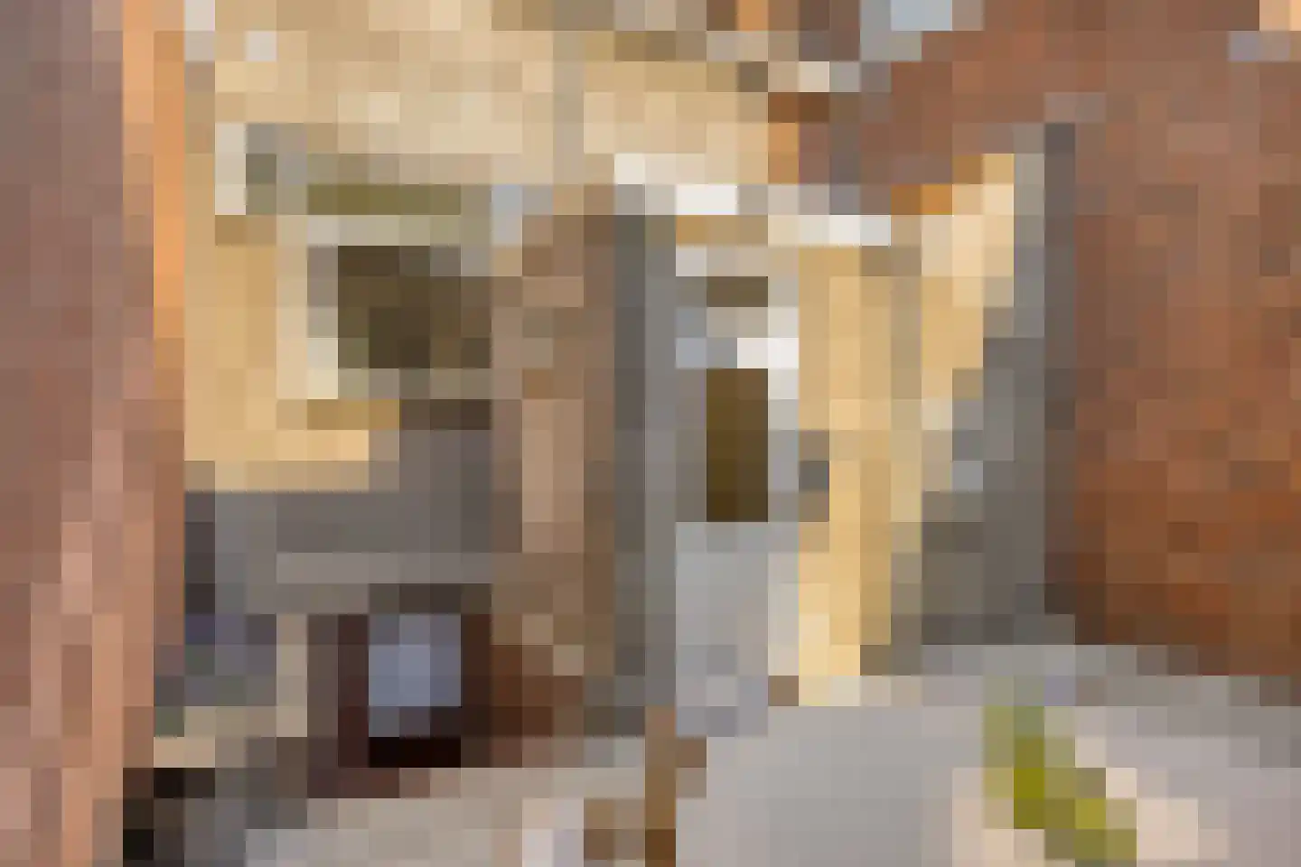 Kerkstraat 25 Oisterwijk thumbnail 43