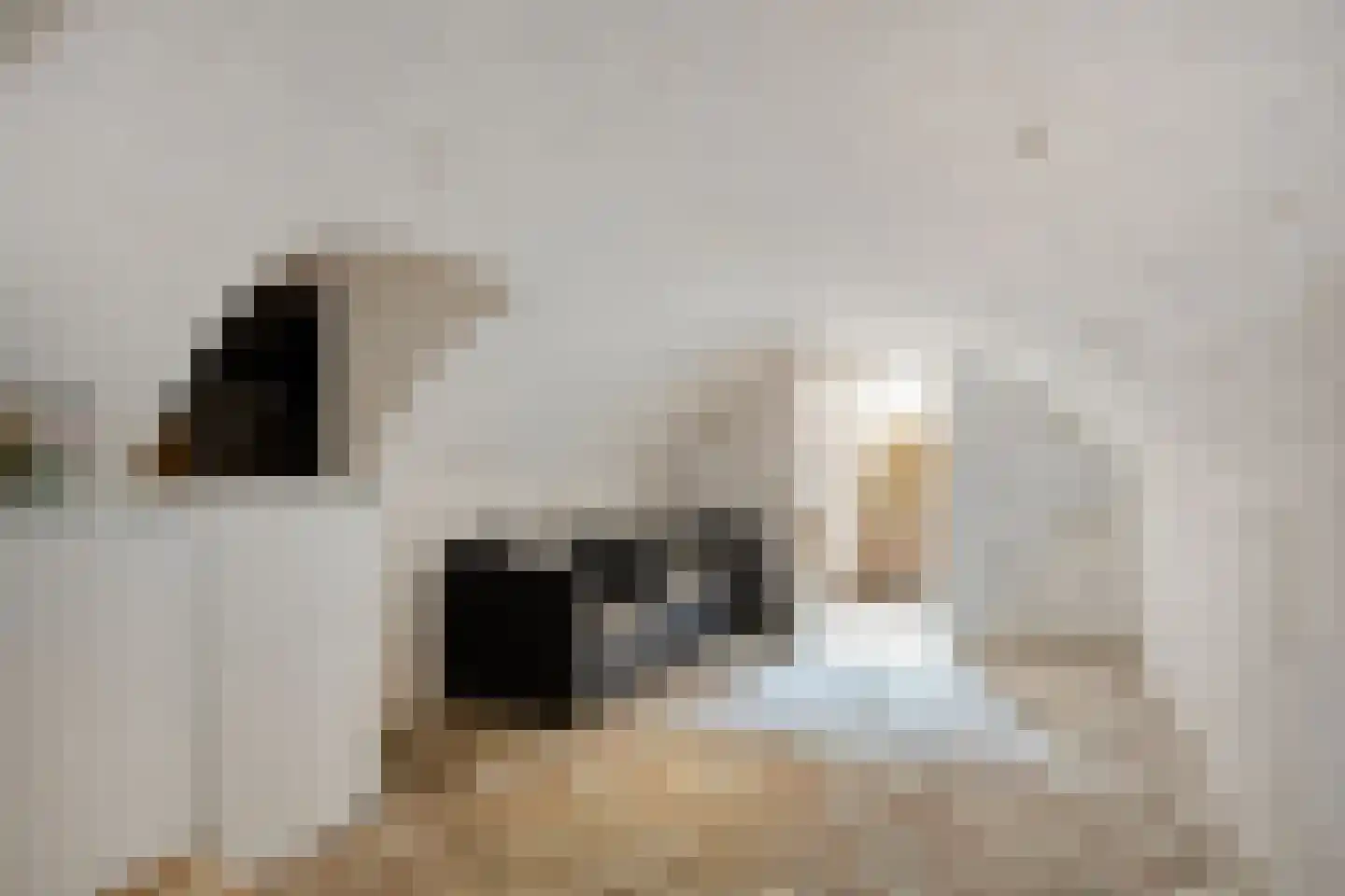 Kerkstraat 25 Oisterwijk thumbnail 45