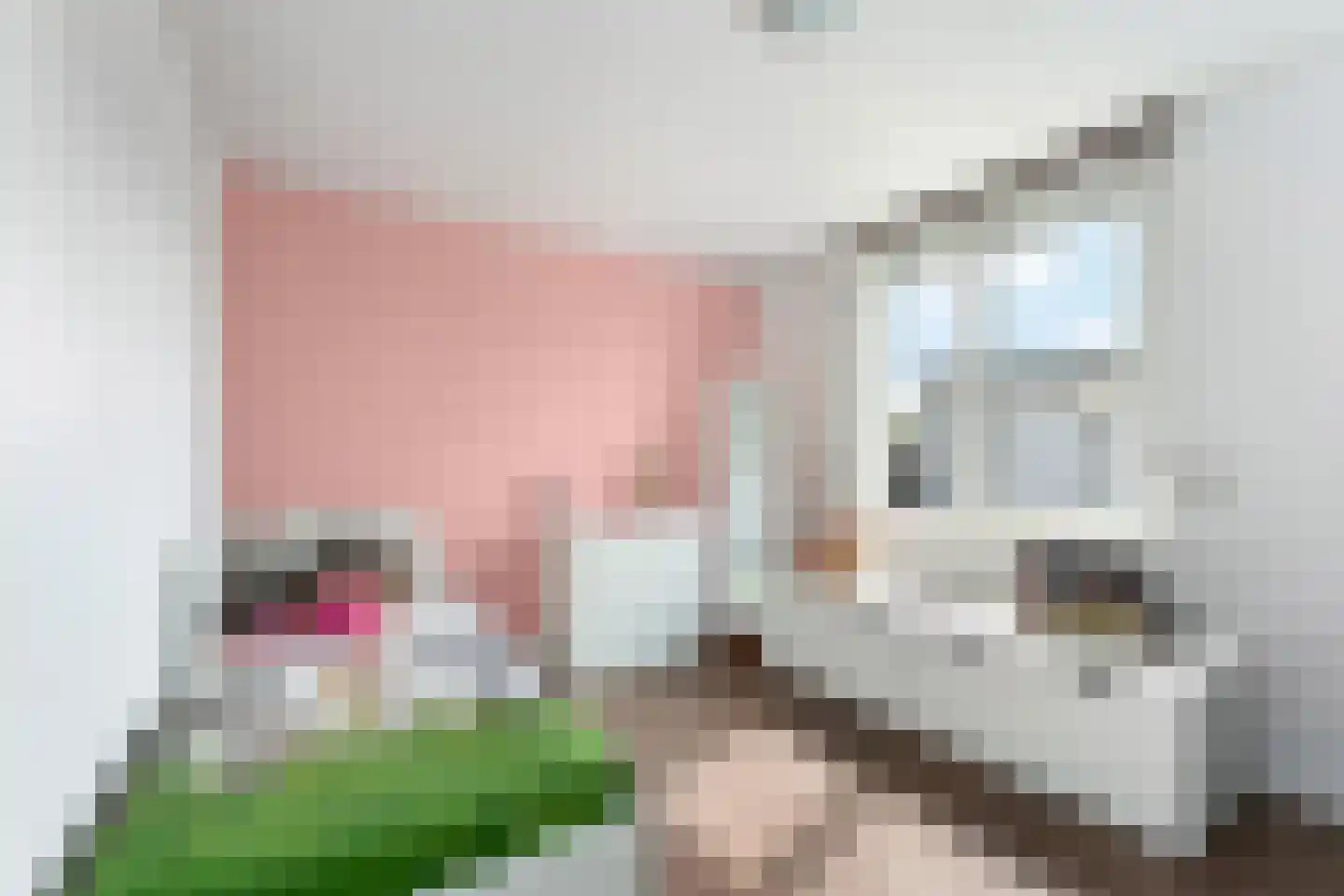 Kerkstraat 25 Sweikhuizen thumbnail 14