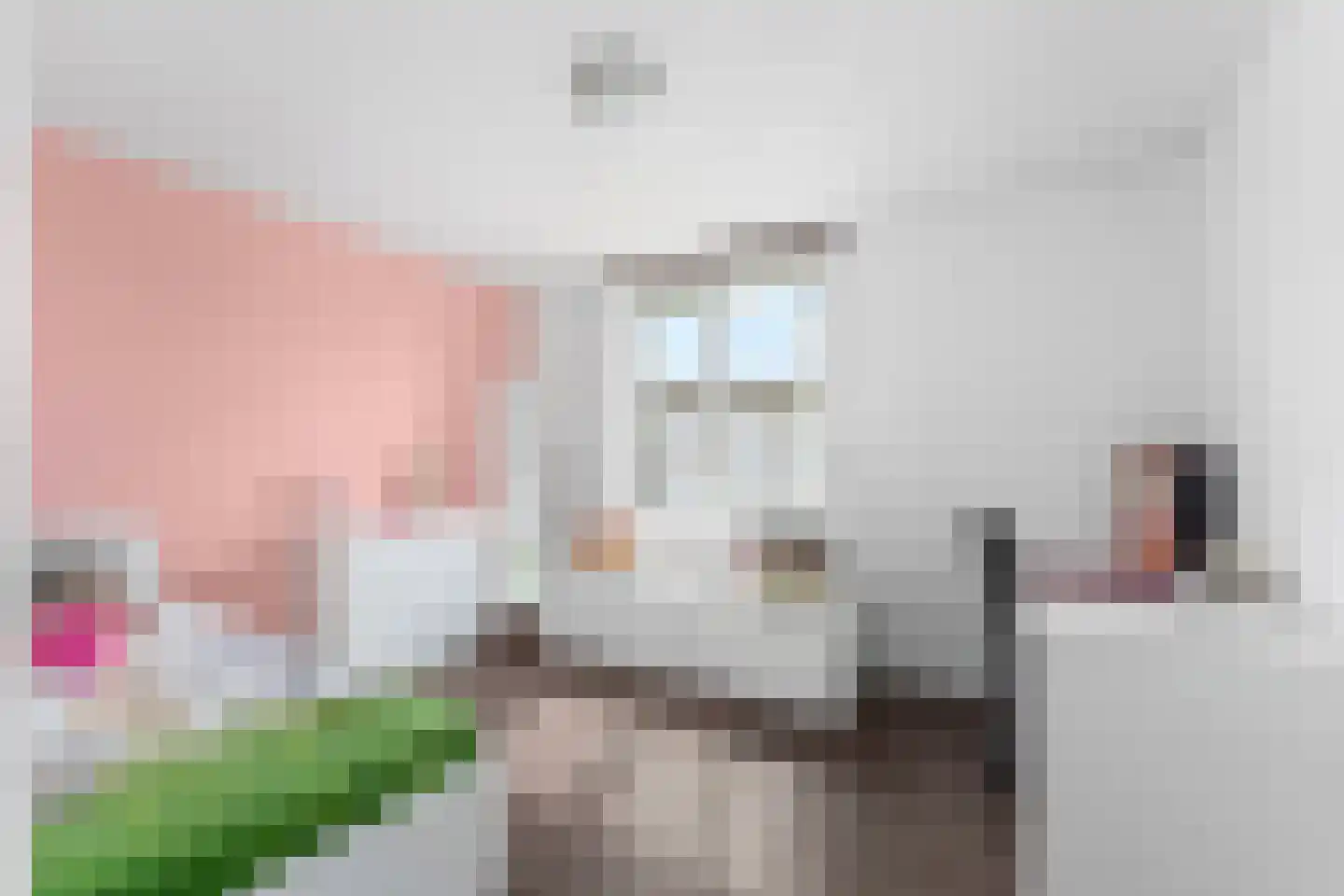 Kerkstraat 25 Sweikhuizen thumbnail 15