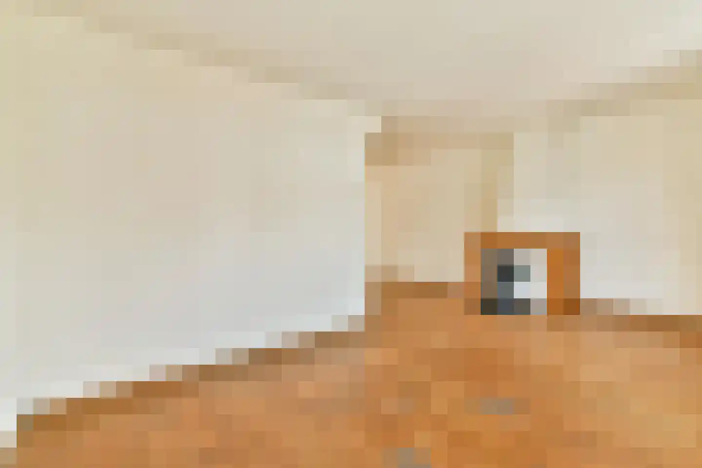 Kerkstraat 253 Oostzaan thumbnail 8