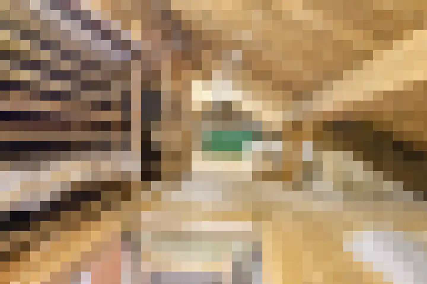 Kerkstraat 258 Gaanderen thumbnail 25