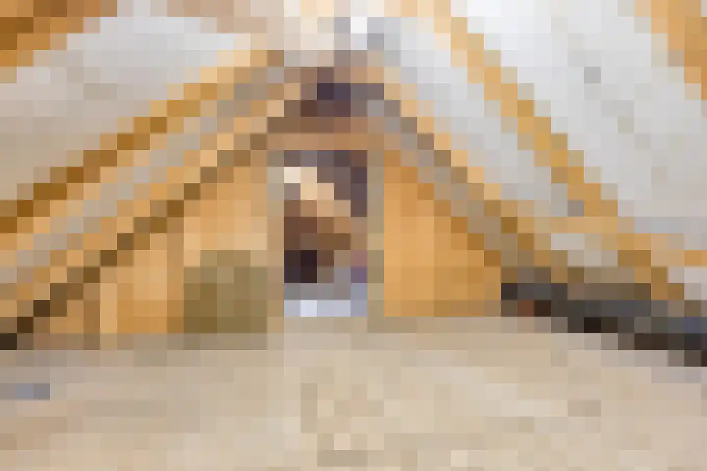 Kerkstraat 258 Gaanderen thumbnail 29