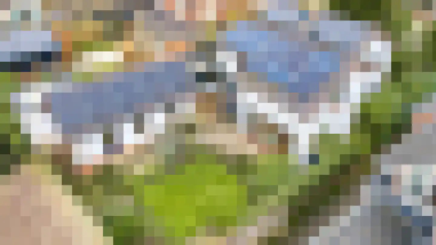Kerkstraat 258 Gaanderen thumbnail 34