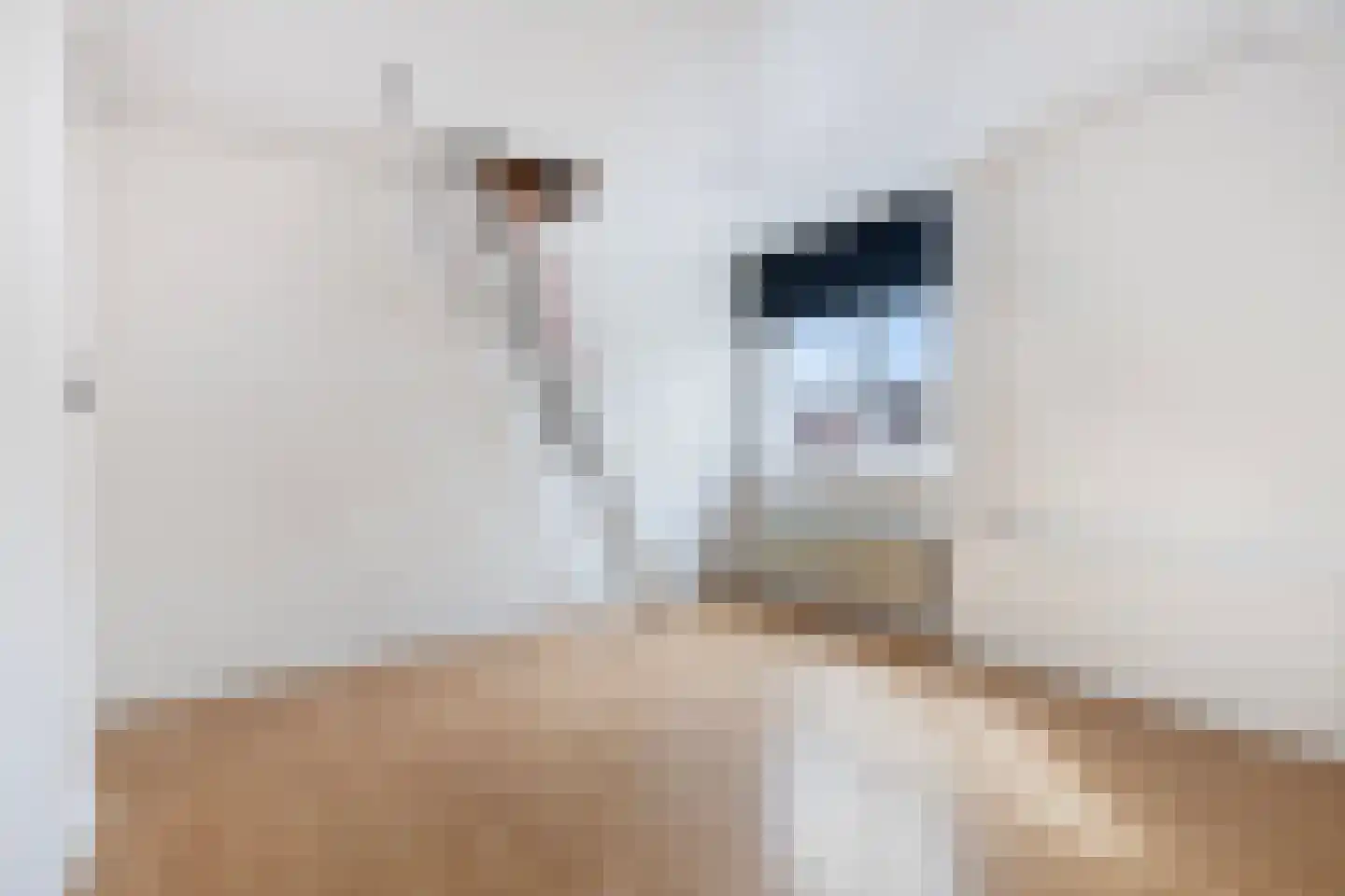 Kerkstraat 26 Clinge thumbnail 24