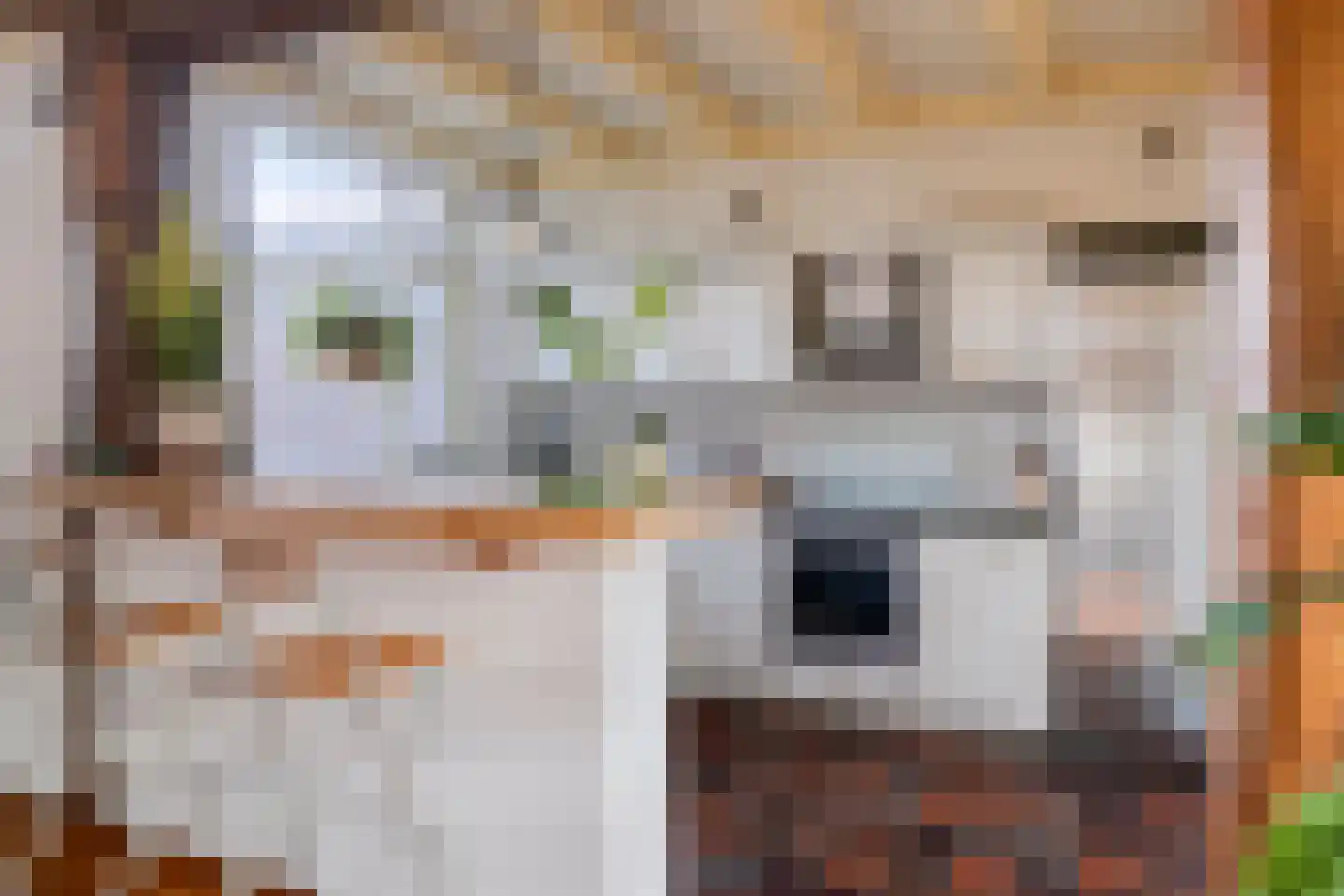 Kerkstraat 26 Eersel thumbnail 15