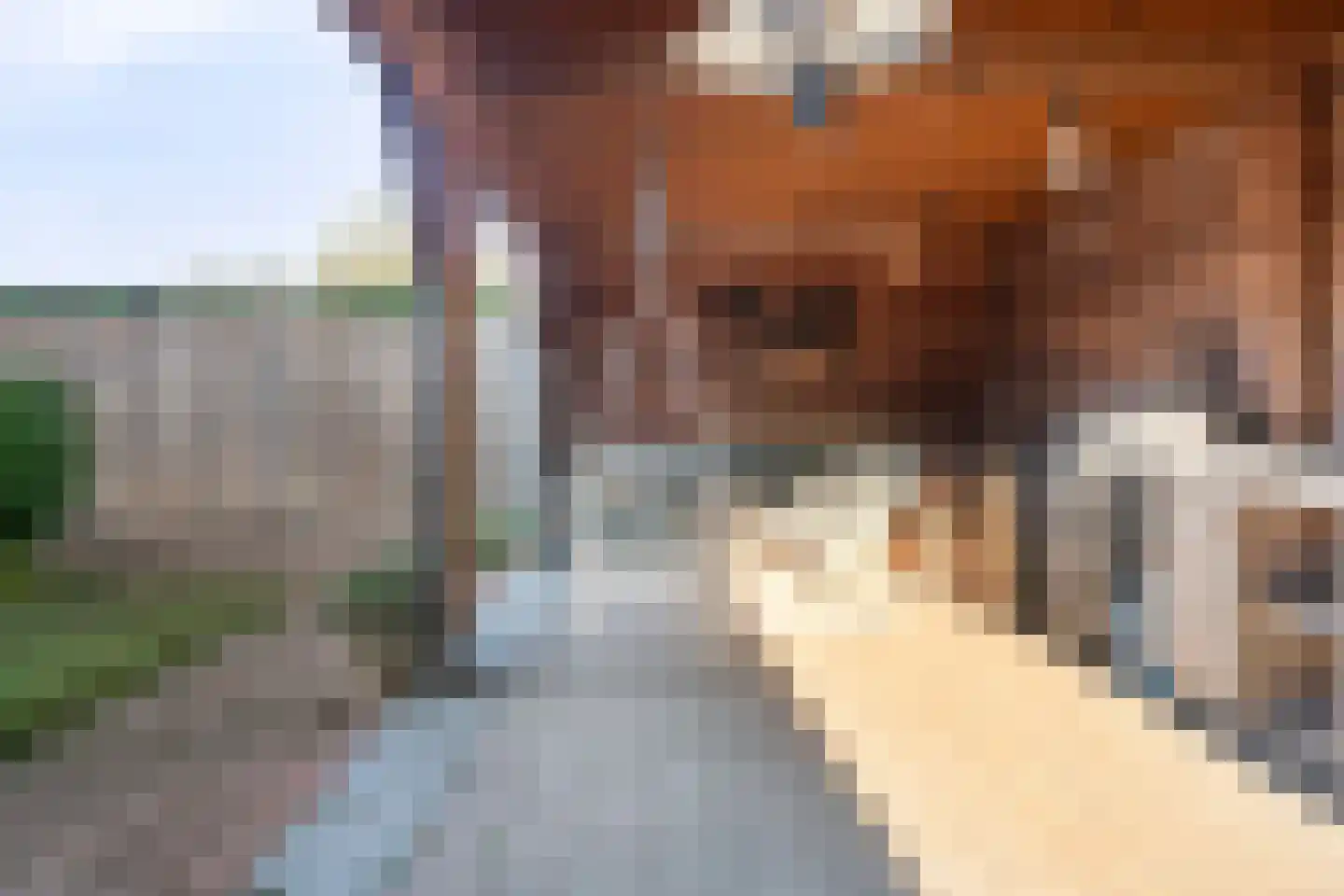 Kerkstraat 26 Eersel thumbnail 40