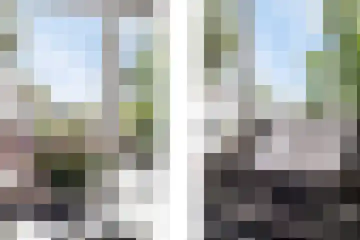Kerkstraat 26 Lathum thumbnail 15