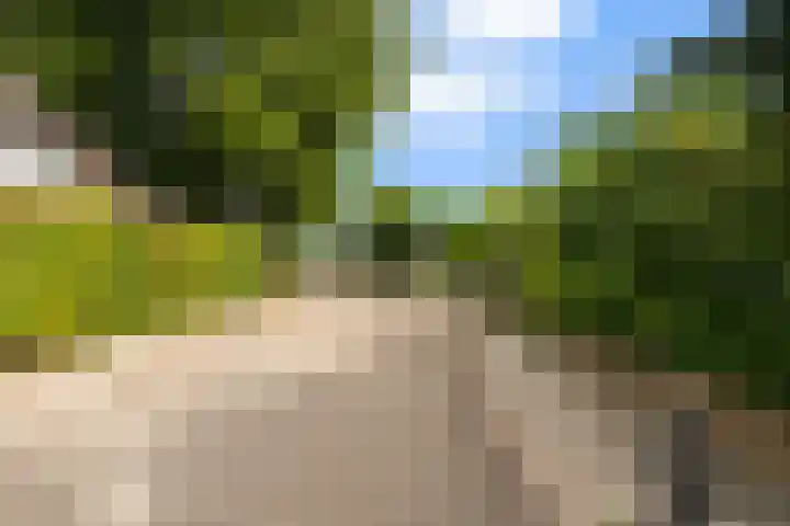 Kerkstraat 26 Lathum thumbnail 51