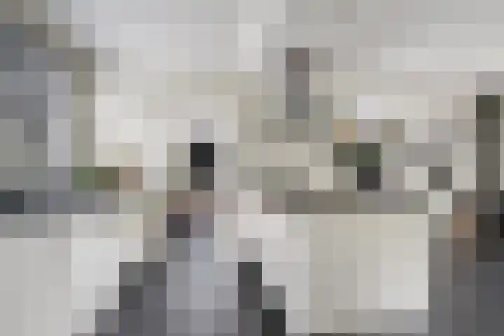 Kerkstraat 26 Lathum thumbnail 8