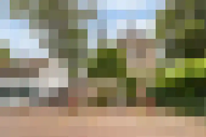 Kerkstraat 26 Nederhorst den Berg thumbnail 21