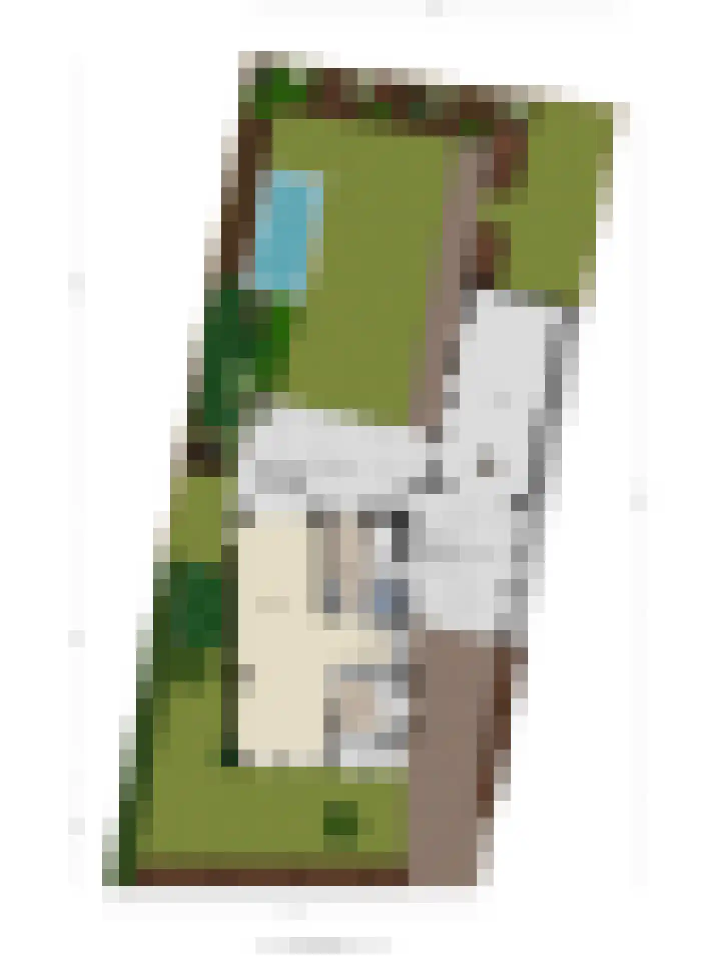 Kerkstraat 26 Vorstenbosch thumbnail 39