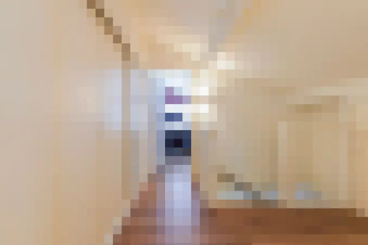 Kerkstraat 26 Waalwijk thumbnail 31