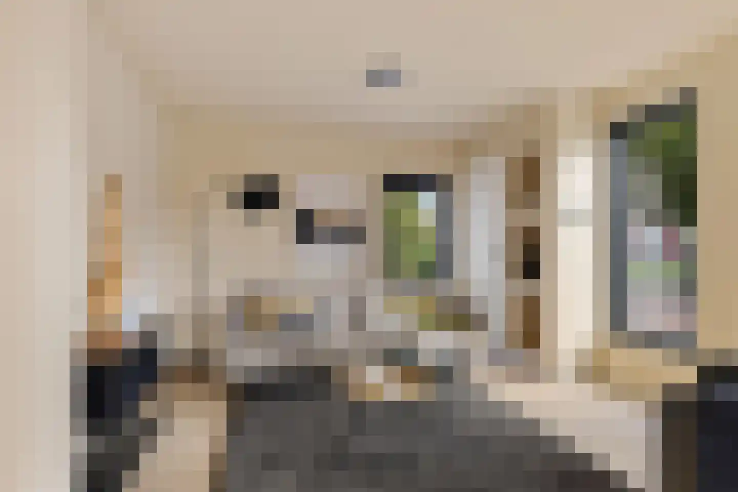 Kerkstraat 26 Wagenborgen thumbnail 11